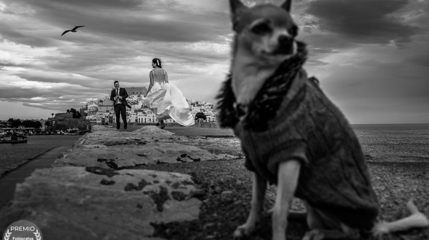 FdB11 781entrada 524 miguelangelmuniesa01