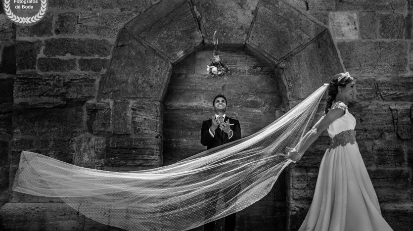 entrada 813 miguelangelmuniesa10