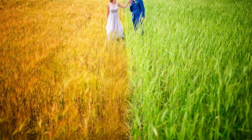 fmp 5126 copia 900x600