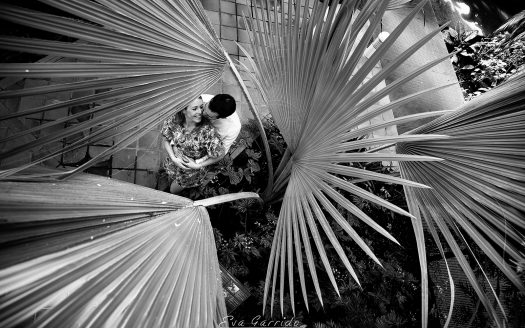 Eva Garrido Fotografía