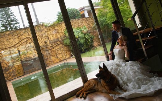 Claudio P. Fotógrafo