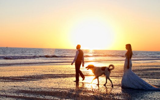 Claudio P. Fotógrafo