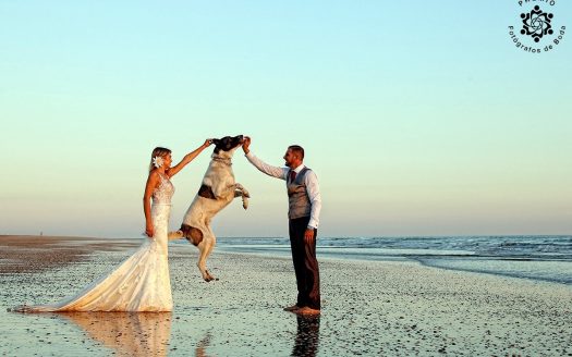 Claudio P. Fotógrafo