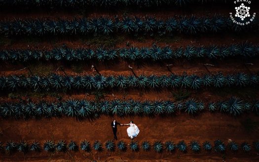 MsVFotografia Studio