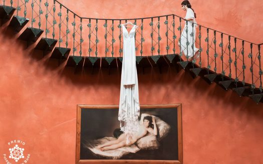 Ada Maldonado Fotografia