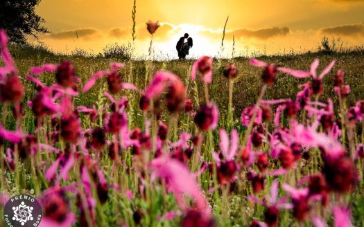 Roberto Montorio Photography