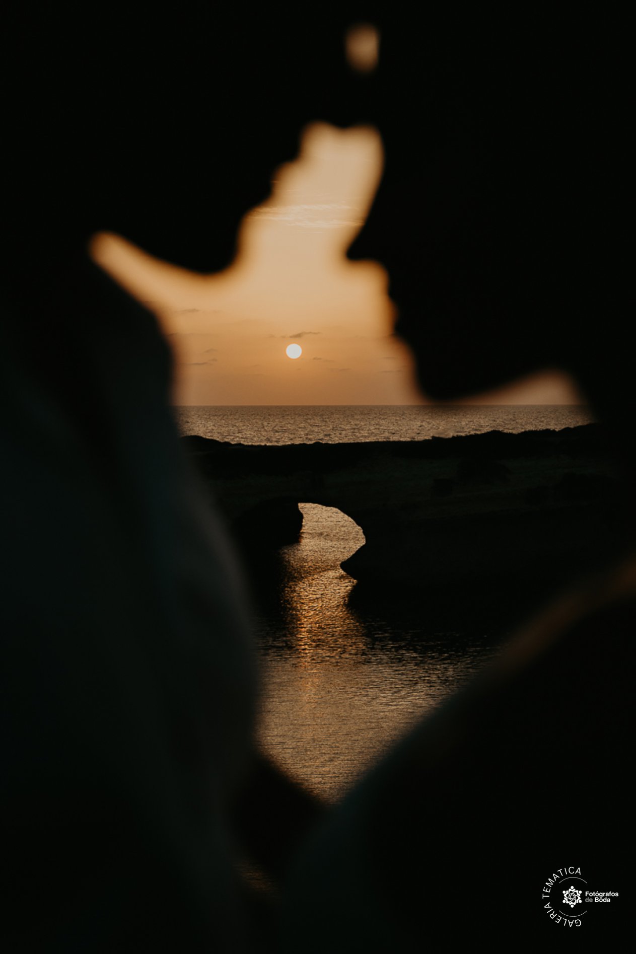 dariaphoto3