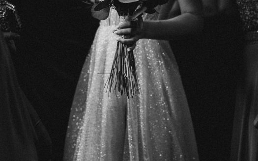 David Burgos Fotografía