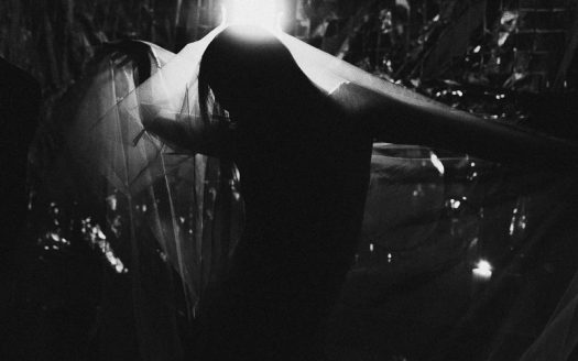 David Burgos Fotografía