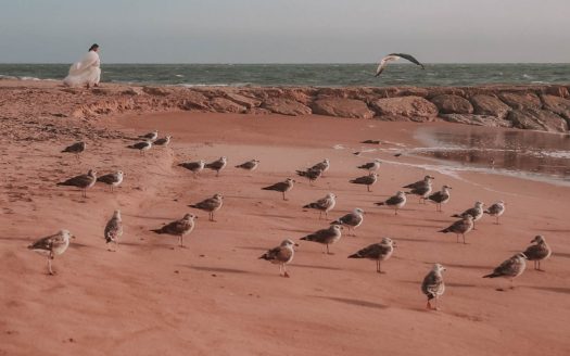 Iván Pérez Estudio IPfotos