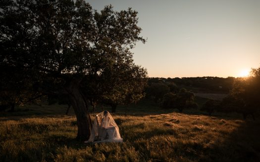 purafoto luxurywedding 87