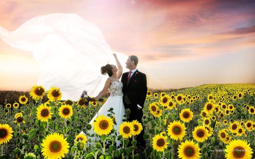 Jose y Andrea Wedding Photographers
