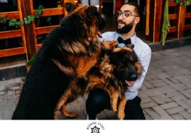 1 1