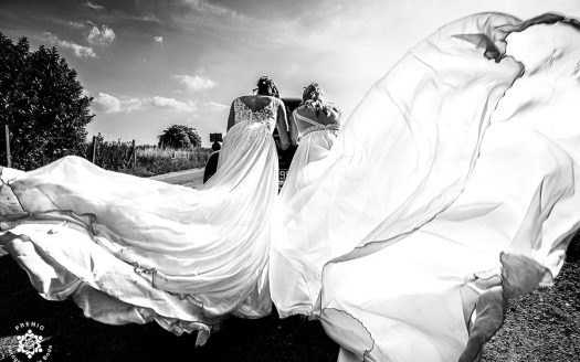amtyone photography